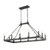 Z-LIte Barclay Matte Black 12-Light Island Chandelier -Furniture Shop 1887 482 12L MB
