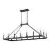 Z-LIte Barclay Matte Black 16-Light Island Chandelier -Furniture Shop 1887 482 16L MB