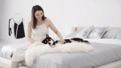 Harper Bed -Furniture Shop Screen20Shot202019 03 0120at2010.46.2420AM